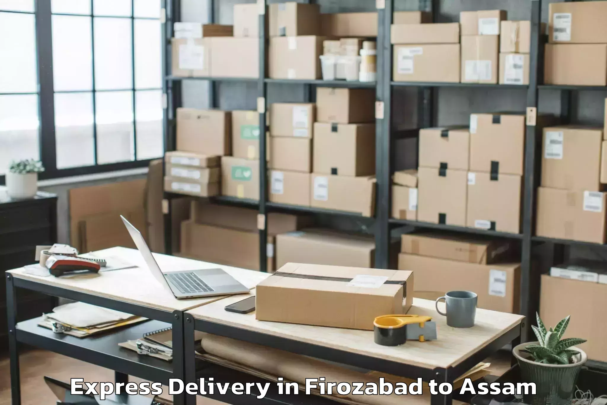 Top Firozabad to Dhekiajuli Express Delivery Available